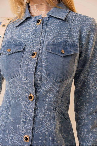 Western Paisley