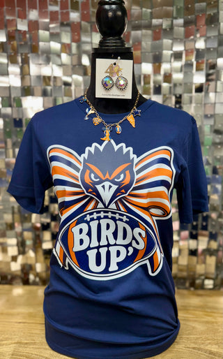 Birds Up San Antonio