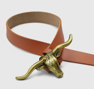 My Kinda Longhorn