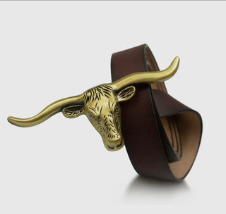 My Kinda Longhorn
